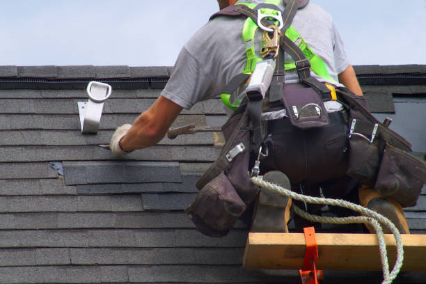 Best Roof Gutter Cleaning  in Chesaning, MI