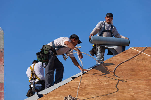 Best Commercial Roofing Services  in Chesaning, MI