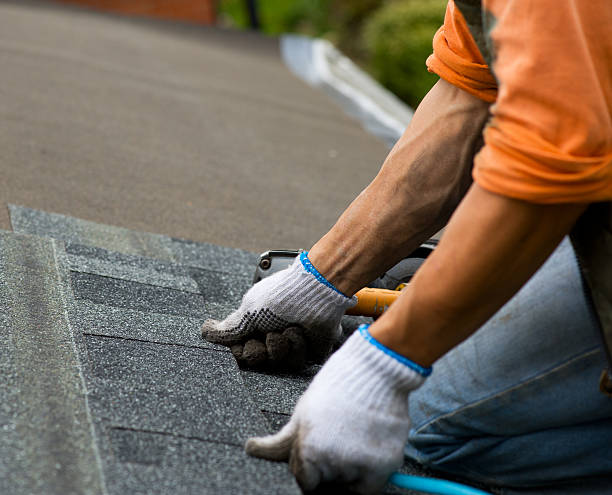 Trusted Chesaning, MI Roofing Contractor Experts