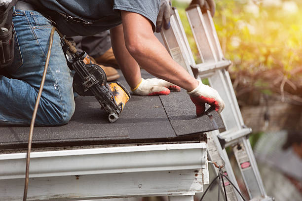 Best Shingle Roofing Installation  in Chesaning, MI