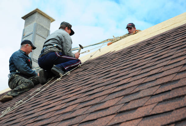 Best Tile Roofing Contractor  in Chesaning, MI