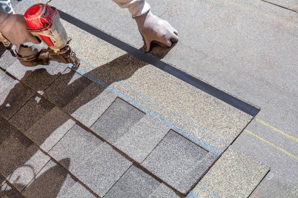Best Roof Repair Services  in Chesaning, MI