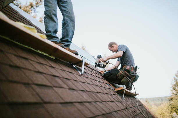 Best Metal Roofing Contractor  in Chesaning, MI