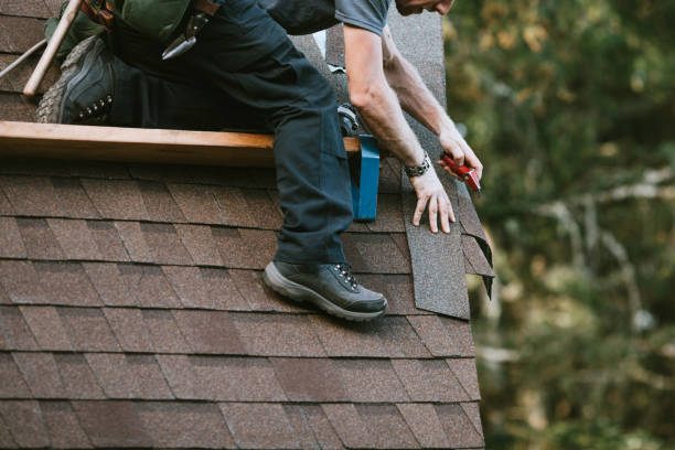 Best Local Roofing Companies  in Chesaning, MI